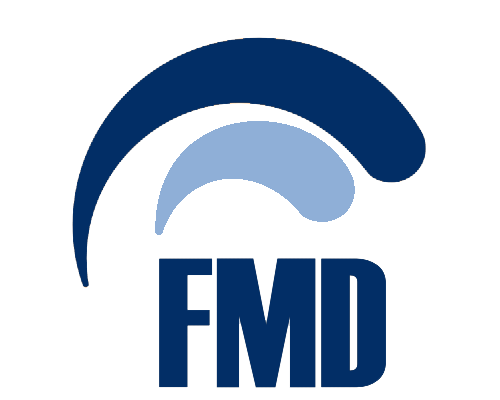 FMD Finanzmanagement